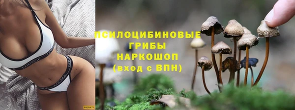 стаф Куйбышев
